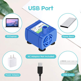 Pet water dispenser water pump