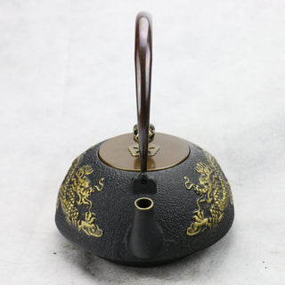 Southern Japan iron kettle