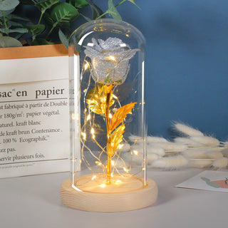 Mothers Day Gift Enchanted Forever Rose Flower In Glass LED Light Home Decoration