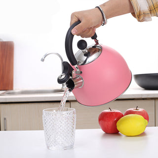 Ru Yi Pink Whistling Kettle Whistling Kettle Fashion Whistling Kettle New Whistling Kettle