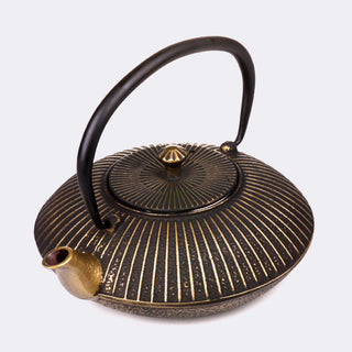 Ancient cast iron kettle, boiling water teapot, cast iron kettle