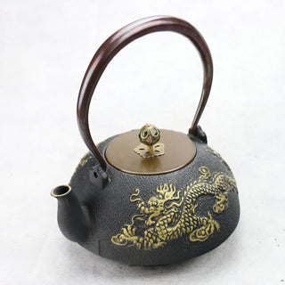 Southern Japan iron kettle