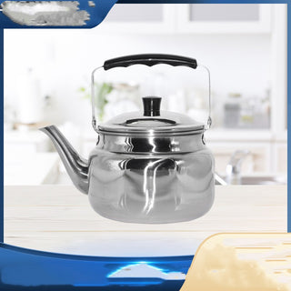 Stainless Steel Hotel Tea Kettle