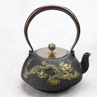 Southern Japan iron kettle