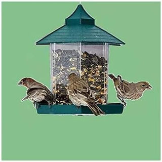 Nothers Kid's Hanging Gazebo Wild Bird Feeder Perfect for Garden Decoration (Green)