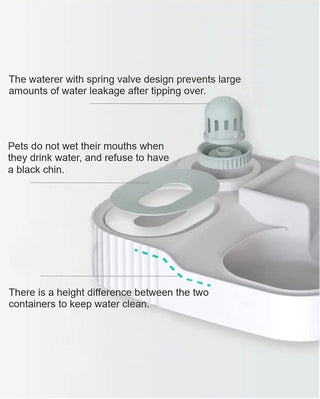 FerretDance Pet 2-in-1 Automatic Feeder