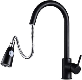 TAGU Kitchen Faucet Tap (Black)