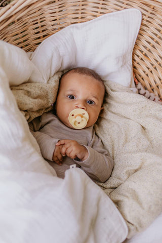 Bibs Pacifier Size 1 - Baby 0-6M (2pcs) - Ivory/Blush