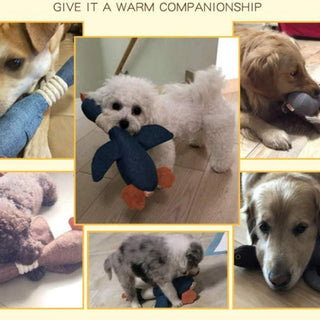 Dog Squeaky Toys, Soft Dog Toys for Small Dogs Plush Puppy Toys Interactive Dog Chew Toys Cute Small Dog Toys Companion Pet Toys