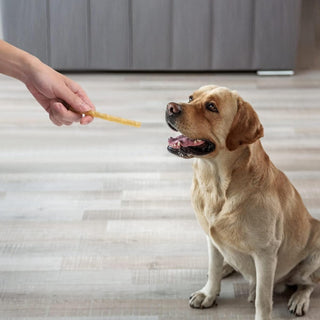 Mumoo Bear - 400 g dog snack chew roll with chicken, 100% natural chews chew roll for dogs with high protein content and low fat