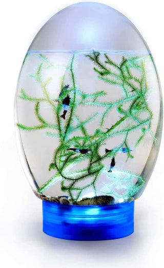 WABHDN Spherical Fish Tank Aquatic Ecosystem, Ecosphere Closed Aquatic Ecosystem, with LED Base Desktop Fish Tank,Blue