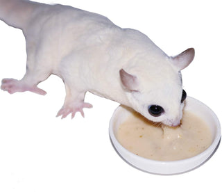 Exotic Nutrition Critter Select's Gliderade Nectar 4 oz