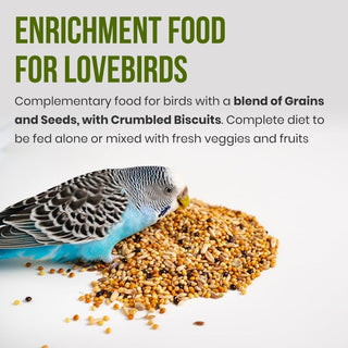Brandsfinity Premium Bird Food for and Budgies - Mix Millet, Hulled Oats, Canary Seed, Flax Seed, and Color Biscuits Blend, 800g