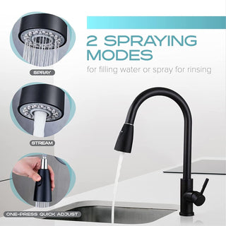 Genr Kitchen Faucet with Pull Down Sprayer, Single Level Stainless Steel Kitchen Sink Faucets, Single Handle High Arc Brushed Nicke (Black)