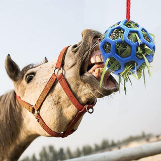TOMVAES 2 Pack Horse Treat Ball Hay Feeder Toy,Horse Ball Feeder,Goat Feeder Toy Feeder Ball,Hanging Feeding Toy with Strong Nylon Rope for Horse,Goat