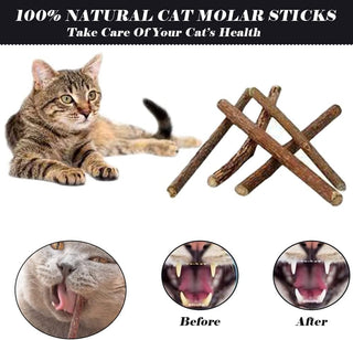 S2C 28 Pcs Cat Toys Interactive Accessories - Cat Accessories For Indoor Cats, Kitten Toys, Cat Tunnel And Tent, Kitten Toys For Biting, Cat Toys For Kittens, Cat Toy Fish For Cat Lovers…