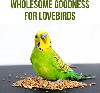 Brandsfinity Premium Bird Food for and Budgies - Mix Millet, Hulled Oats, Canary Seed, Flax Seed, and Color Biscuits Blend, 800g