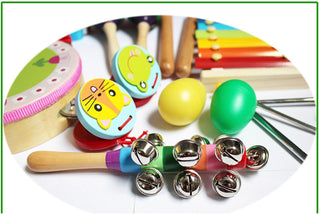 Toddler Educational Kids Musical Instruments Set 8 Types 14pcs Wooden Percussion Instruments Toy for Kid Educational Musical Games Tambourine Present, Promote Fine Motor Skills, with Carrying Bag