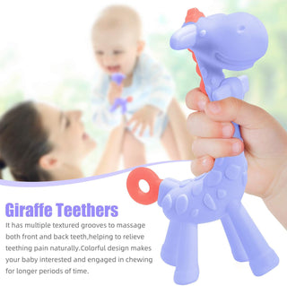 SHARE&CARE Baby Teething Toys for Girls and Natural Organic Fruit Feeder Pacifier/Baby Teether Chew Toys Fresh Food Feeder/ 1 Teethers and 1 Feeder with 3 Silicone Sacs(Blue2)