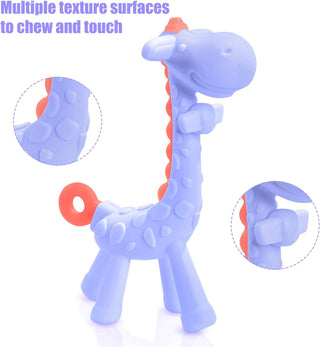 SHARE&CARE Baby Teething Toys for Girls and Natural Organic Fruit Feeder Pacifier/Baby Teether Chew Toys Fresh Food Feeder/ 1 Teethers and 1 Feeder with 3 Silicone Sacs(Blue2)