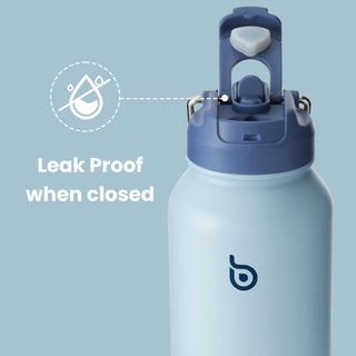 bottlebottle BOTTLE BOTTLE 32oz Insulated Water Bottle Stainless Steel Sport Water Bottle with Straw Dual-use Lid Design for Gym with Pill Box (green)