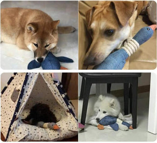 Dog Squeaky Toys, Soft Dog Toys for Small Dogs Plush Puppy Toys Interactive Dog Chew Toys Cute Small Dog Toys Companion Pet Toys