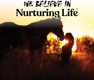 (1.8kg.) - Manna Pro Apple Flavoured Bite-Sized Nuggets Horse Treats 1.8kg