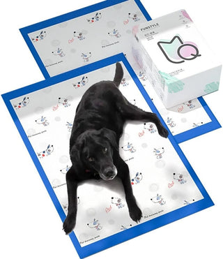 Mumoo Bear Pet Training Pads Super Absorbent Puppy Pads Anti Slip Toilet Pee Mat, Leak Proof & Quick Dry Pet Pads for Dogs Cats Rabbits Pets (40 PACK-60 * 60CM)