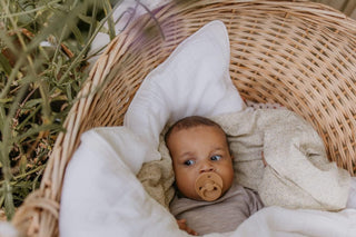 Bibs Pacifier Size 1 - Baby 0-6M (2pcs) - Ivory/Blush