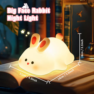 OkiyiD Duck Night Light, Cute Duck Gifts for Girl, Duck Lamp Gifts Dorm Decor Lamp for Nursery, ABS+SIL, Touch Control, Portable and Rechargeable Dimmable, Birthday Gifts for Boys Girls (DoDo Duck)