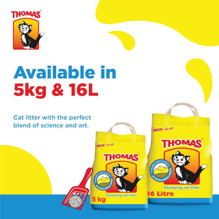 Thomas Cat Litter, Natural Minerals Litter Sand, This Cat Litter Clumping and Highly Absorbent Nature Will Ensure Your Cat Will Come Back to its Cat Litter Box with Comfort, Bag of 5kg
