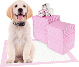 Mumoo Bear Pet Training Pads Super Absorbent Puppy Pads Anti Slip Toilet Pee Mat, Leak Proof & Quick Dry Pet Pads for Dogs Cats Rabbits Pets (40 PACK-60 * 60CM)
