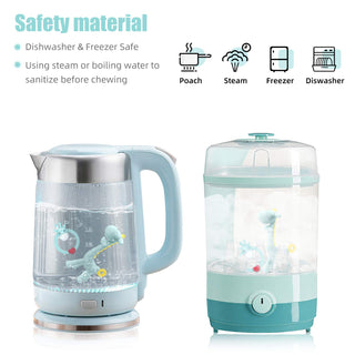 SHARE&CARE Baby Teething Toys for Girls and Natural Organic Fruit Feeder Pacifier/Baby Teether Chew Toys Fresh Food Feeder/ 1 Teethers and 1 Feeder with 3 Silicone Sacs(Blue2)