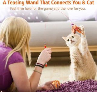 STOREAL 14 PCS Cat Toys for Indoor Cats, Kitten Toys, Interactive 3 Level Cat Roller Exerciser,Cat Teaser Ball Toys, Catnip fish, Cat Mouse and Retractable Cat Feather Wand
