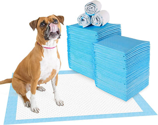 Mumoo Bear Pet Training Pads Super Absorbent Puppy Pads Anti Slip Toilet Pee Mat, Leak Proof & Quick Dry Pet Pads for Dogs Cats Rabbits Pets (40 PACK-60 * 60CM)