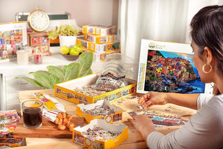 BRAIN TREE Amsterdam 1000 Piece Puzzles for Adults Kids 12+ Unique Puzzles 4 Puzzle Sorting Trays, Droplet Technology for Anti Glare & Soft Touch 27.5Lx19.5W Inch