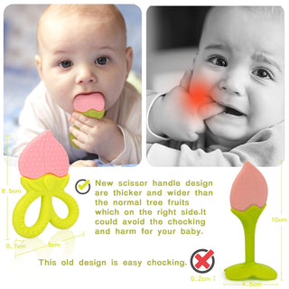 SHARE&CARE Baby Teething Toys for Girls and Natural Organic Fruit Feeder Pacifier/Baby Teether Chew Toys Fresh Food Feeder/ 1 Teethers and 1 Feeder with 3 Silicone Sacs(Blue2)