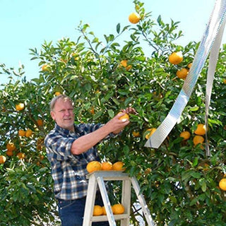 Goodern Bird Repellent Deterrent Reflective Scare Tape Double Sided Bird Repellent Tape for Keeping Away Unwanted Birds for Garden and Farm (350 FT/4.8CM)