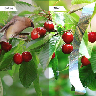 Goodern Bird Repellent Deterrent Reflective Scare Tape Double Sided Bird Repellent Tape for Keeping Away Unwanted Birds for Garden and Farm (350 FT/4.8CM)