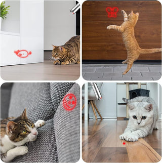 Mumoo Bear Cat Toys, Laser Pointer with 5 Adjustable Patterns, USB Recharge Laser, Long Range and 3 Modes Training Chaser Interactive Toy, Dog Laser Toy