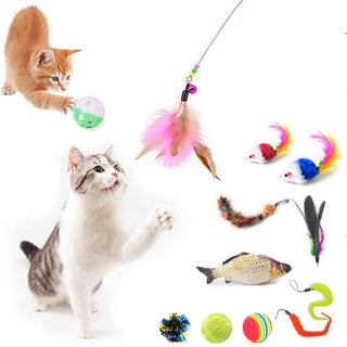 STOREAL 14 PCS Cat Toys for Indoor Cats, Kitten Toys, Interactive 3 Level Cat Roller Exerciser,Cat Teaser Ball Toys, Catnip fish, Cat Mouse and Retractable Cat Feather Wand