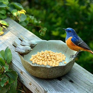 JARPSIRY QIANSHENG Ceramic Birdbath Bowl Wild Bird Feeder Bird Food Holder Container Bird Feeding Tray for Outside Bee Bird Water Bath Outdoor Garden Courtyard Decoration