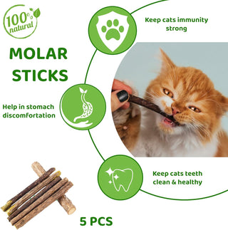 STOREAL 14 PCS Cat Toys for Indoor Cats, Kitten Toys, Interactive 3 Level Cat Roller Exerciser,Cat Teaser Ball Toys, Catnip fish, Cat Mouse and Retractable Cat Feather Wand