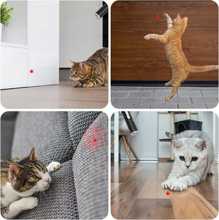 Mumoo Bear Cat Toys, Laser Pointer with 5 Adjustable Patterns, USB Recharge Laser, Long Range and 3 Modes Training Chaser Interactive Toy, Dog Laser Toy