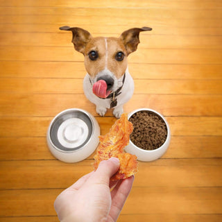 Mumoo Bear - 400 g dog snack chew roll with chicken, 100% natural chews chew roll for dogs with high protein content and low fat