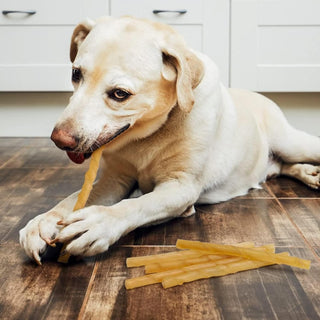 Mumoo Bear - 400 g dog snack chew roll with chicken, 100% natural chews chew roll for dogs with high protein content and low fat