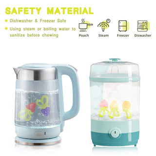 SHARE&CARE Baby Teething Toys for Girls and Natural Organic Fruit Feeder Pacifier/Baby Teether Chew Toys Fresh Food Feeder/ 1 Teethers and 1 Feeder with 3 Silicone Sacs(Blue2)