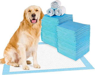 Mumoo Bear Pet Training Pads Super Absorbent Puppy Pads Anti Slip Toilet Pee Mat, Leak Proof & Quick Dry Pet Pads for Dogs Cats Rabbits Pets (40 PACK-60 * 60CM)