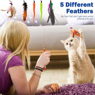 STOREAL 14 PCS Cat Toys for Indoor Cats, Kitten Toys, Interactive 3 Level Cat Roller Exerciser,Cat Teaser Ball Toys, Catnip fish, Cat Mouse and Retractable Cat Feather Wand