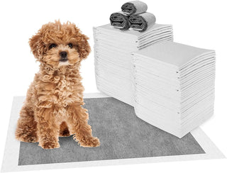 Mumoo Bear Pet Training Pads Super Absorbent Puppy Pads Anti Slip Toilet Pee Mat, Leak Proof & Quick Dry Pet Pads for Dogs Cats Rabbits Pets (40 PACK-60 * 60CM)